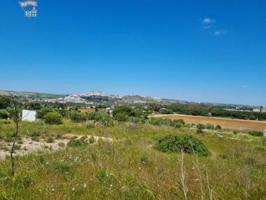 Terreno en venta en Arcos de la Frontera, El Romeral photo 0