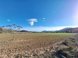 Terreno en venta en Monovar-Monover photo 0