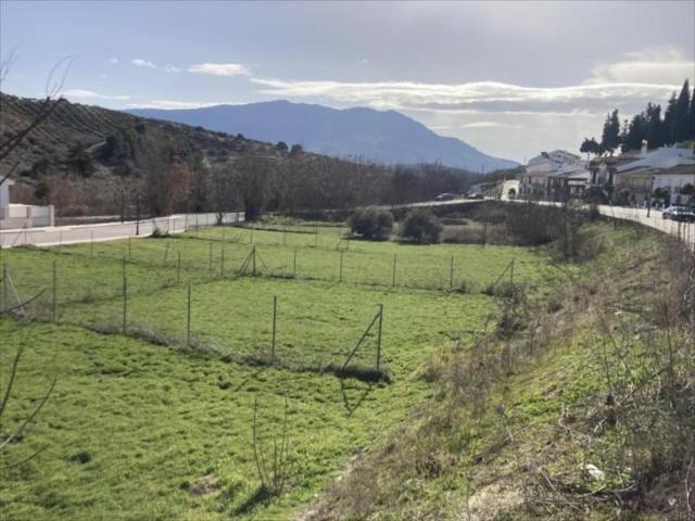 Terreno en venta en Rute, Zambra photo 0