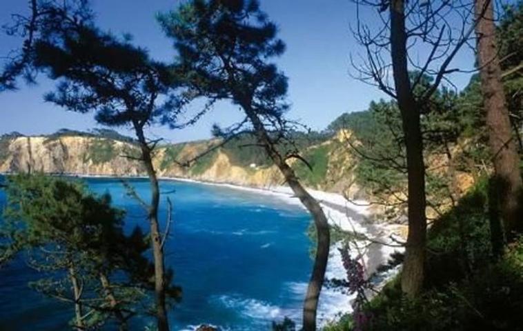 Terreno en venta en Coaña, Eo-Navia photo 0