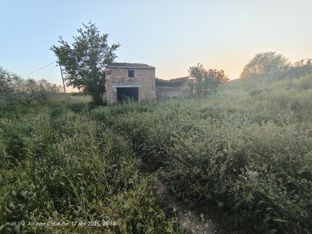 Terreno en venta en Alcover, CARRETERA photo 0