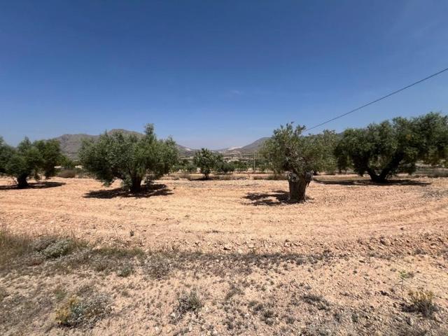 Terreno en venta en Abanilla photo 0
