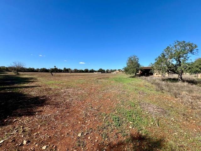 Terreno en venta en Campos, Campos photo 0