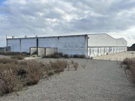 Nave industrial en venta en Ausejo, Ausejo photo 0