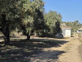 Casa con terreno en venta en Benigànim photo 0