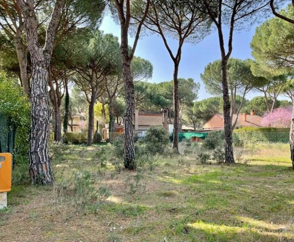 Parcela en venta en Tordesillas, EL MONTICO photo 0