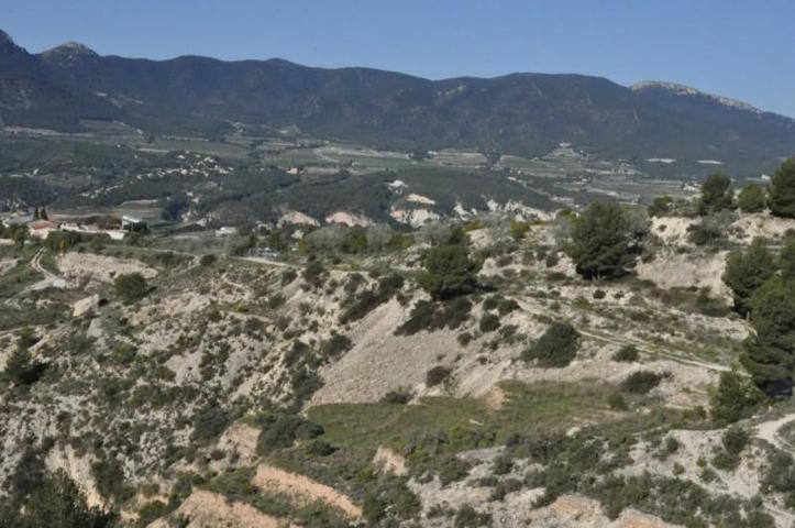 Terreno en venta en Tibi, Pueblo photo 0