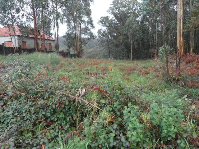SAMPAYO-VIGO, TERRENO 2.000.- M2. photo 0