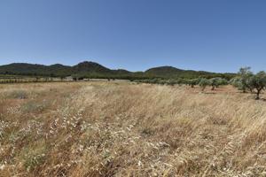 Finca de 27.715 metros a escasos metros del Cajiz de San Gregorio photo 0