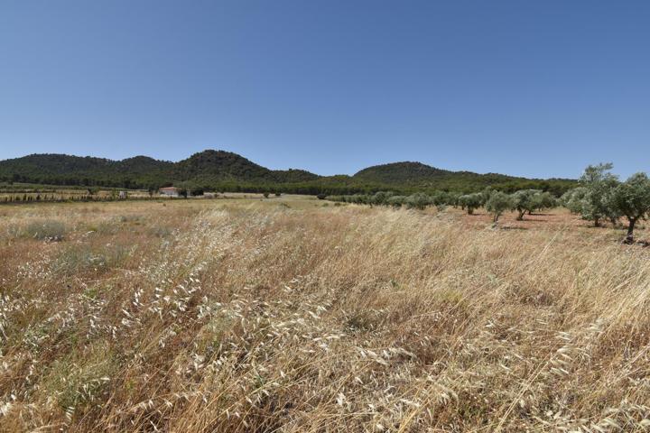 Finca de 27.715 metros a escasos metros del Cajiz de San Gregorio photo 0