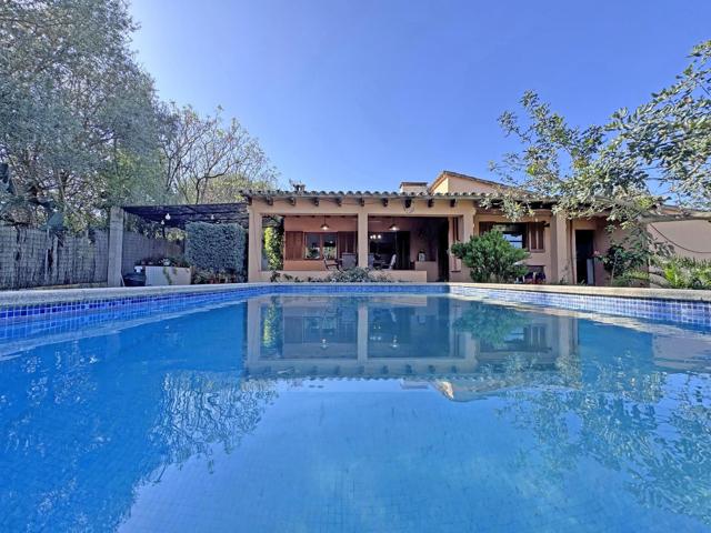 Finca con piscina, árboles frutales y pozo entre Alcudia y Pollensa photo 0