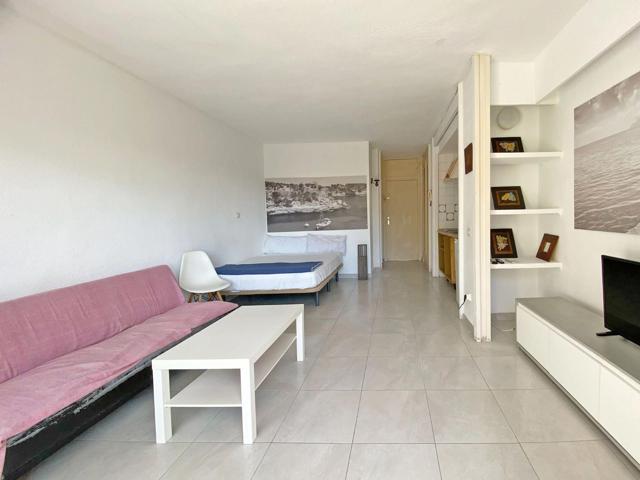 ¡Estudio encantador con vistas a la montaña en Puerto de Alcudia! photo 0