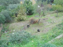 TERRENY A LA ZONA DELS FRUITERS. photo 0