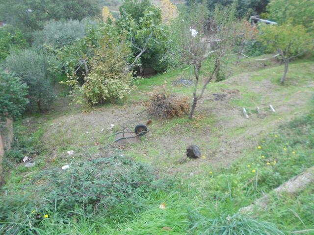 TERRENY A LA ZONA DELS FRUITERS. photo 0