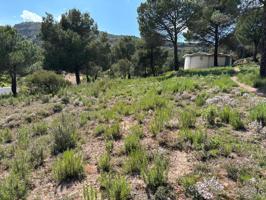 TERRENY PRIVILEGIAT DE 1139M2 A SANT LLORENÇ SAVALL photo 0