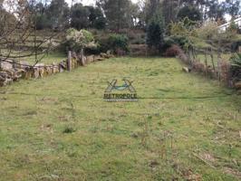 Finca en San cibrao photo 0