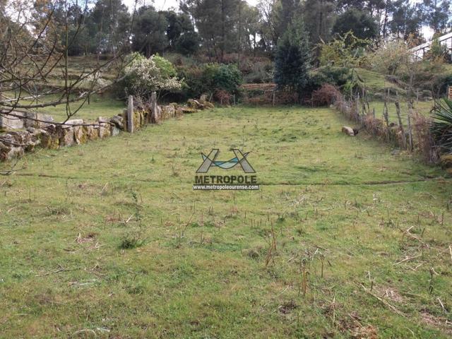 Finca en San cibrao photo 0