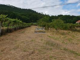 Finca con galpón en Rivela próximo al naútico (sólo 3km de Ourense) photo 0