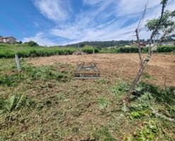 Finca en el concello de Barbadas a 10 minutos de la ciudad photo 0