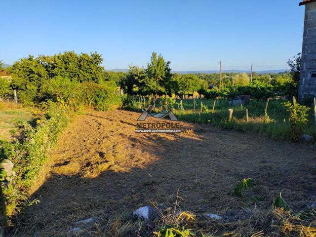 Venta de casa en Pereiro de Aguiar photo 0