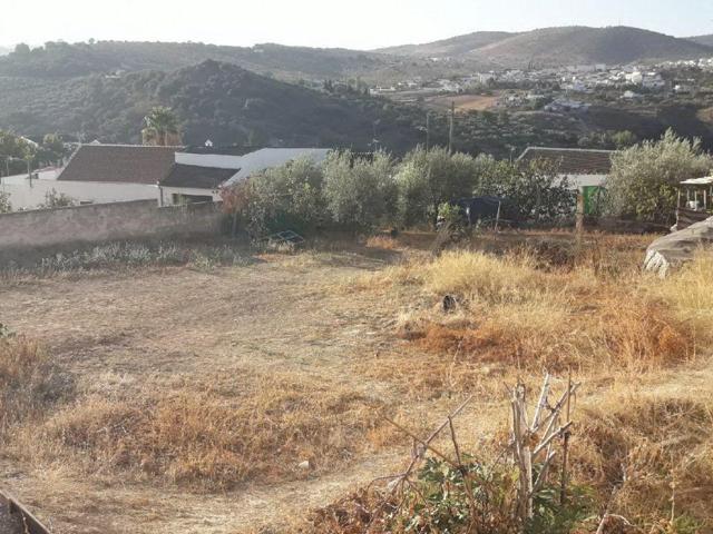 TERRENO URBANIZABLE EN EL BARRIO DE LA ATALAYA, VILLANUEVA DE ALGAIDAS photo 0