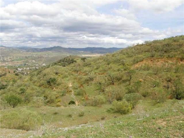 FINCA RÚSTICA EN ARROYO LA DEHESILLA, ÁLORA photo 0