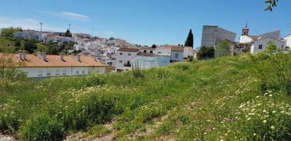 TERRENO URBANO EN CORTES DE LA FRONTERA, MÁLAGA photo 0