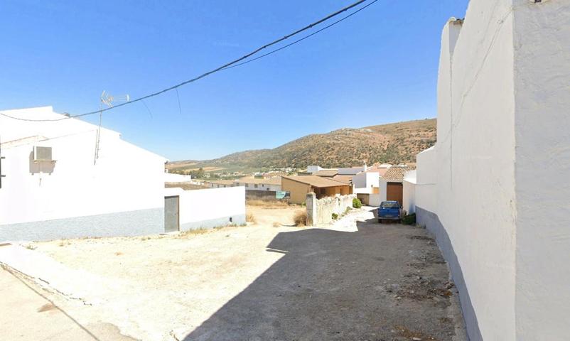 SUELO URBANO NO CONSOLIDADO EN ALMARGEN, MÁLAGA. photo 0