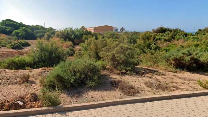 TERRENO EN BALERMA, EL EJIDO photo 0