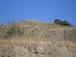 TERRENO URBANIZABLE EN MOTRIL photo 0