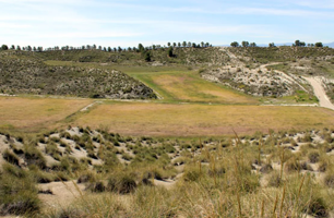 TERRENO RÚSTICO PROINDIVISO EN CULLAR, GRANADA photo 0