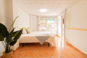 ✨ Gran oportunidad en Museros ✨ photo 0