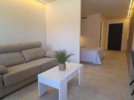 ESTUDIO CON ENCANTO EN GUADALUPE photo 0