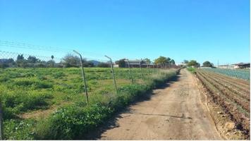 Terreno en venta en Sevilla de 7974 m2 photo 0