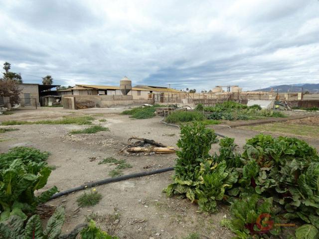 Terreno Urbanizable En venta en Rambla De Las Brujas, Motril photo 0