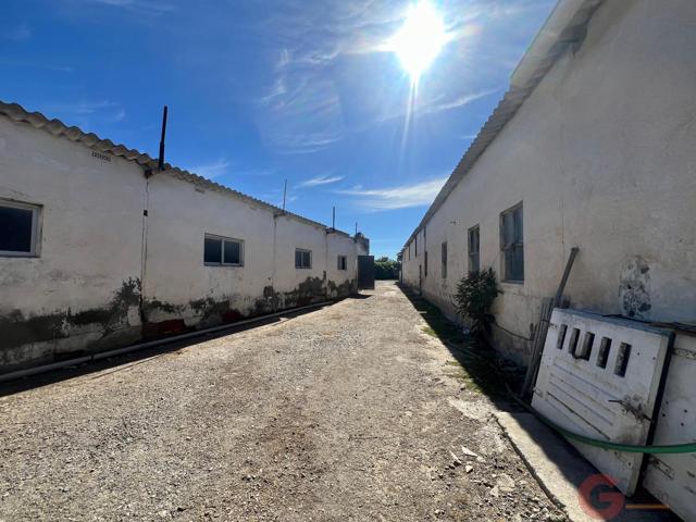Terreno Urbanizable En venta en Rambla De Las Brujas, Motril photo 0