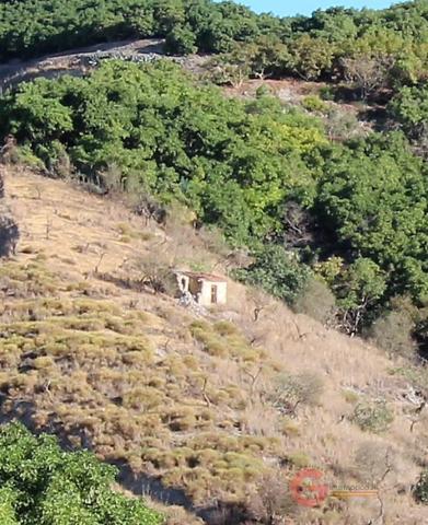 Terreno Urbanizable En venta en Camino De Pataura, Motril photo 0