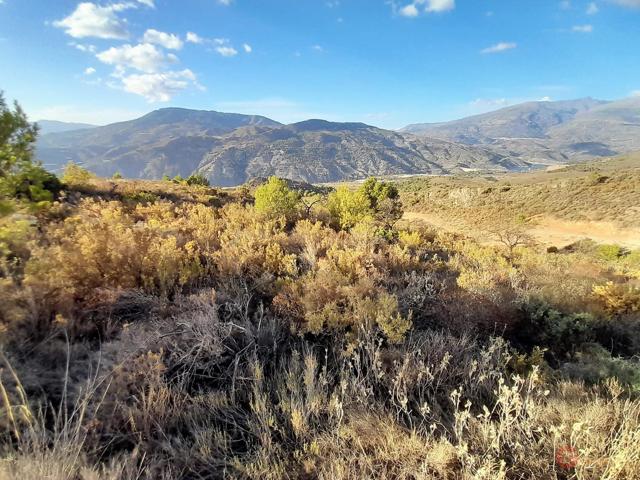 Terreno Urbanizable En venta en Alta, Vélez De Benaudalla photo 0
