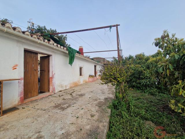 Terreno Urbanizable En venta en Cortijo Cano, Itrabo photo 0