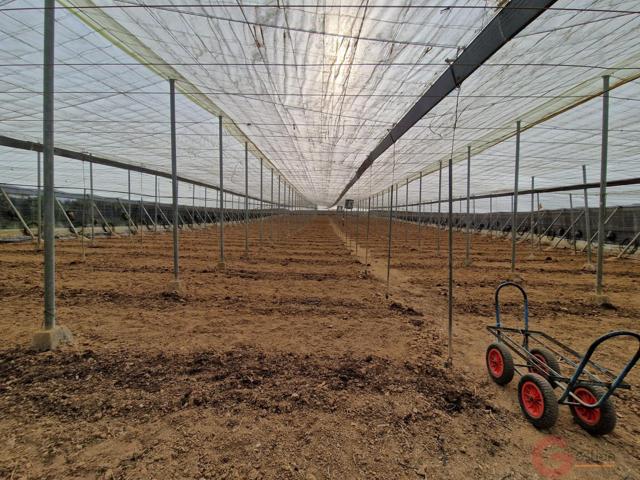 Terreno Urbanizable En venta en Los Palmares, Molvízar photo 0