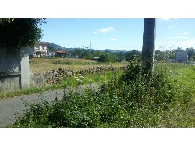 Granja En venta en Llanera photo 0
