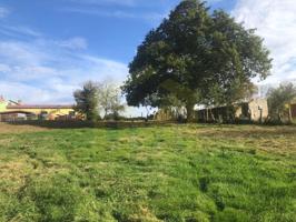 Granja En venta en Sariego photo 0