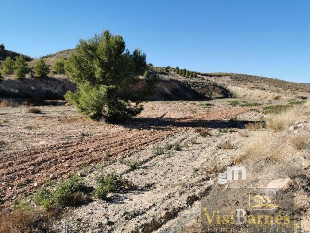 Terreno Urbanizable En venta en La Parroquia, Lorca photo 0