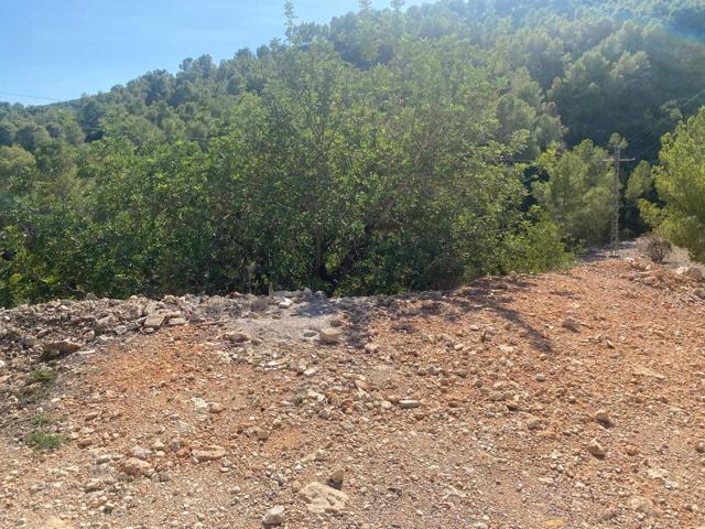 Terreno en venta en Chiva de 518 m2 photo 0