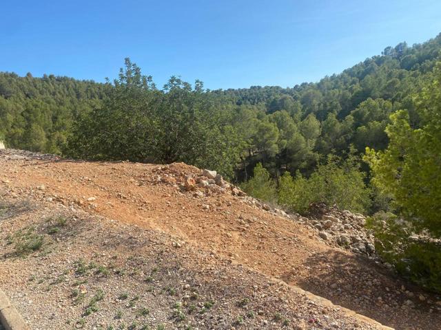 Terreno en venta en Chiva de 518 m2 photo 0