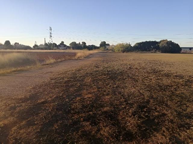 Terreno en venta en Paiporta de 8416 m2 photo 0