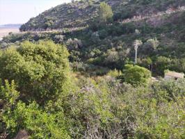 Terreno en venta en Dénia de 1918 m2 photo 0