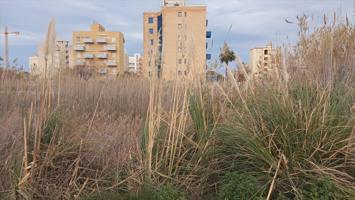 Terreno en venta en Piles de 1004 m2 photo 0