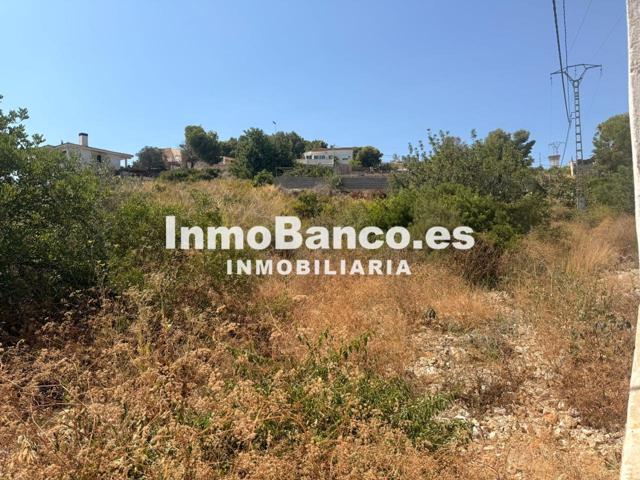 Terreno en venta en Torrent de 1256 m2 photo 0
