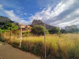 Terreno en venta en Pueblo Mascarat de 3026 m2 photo 0